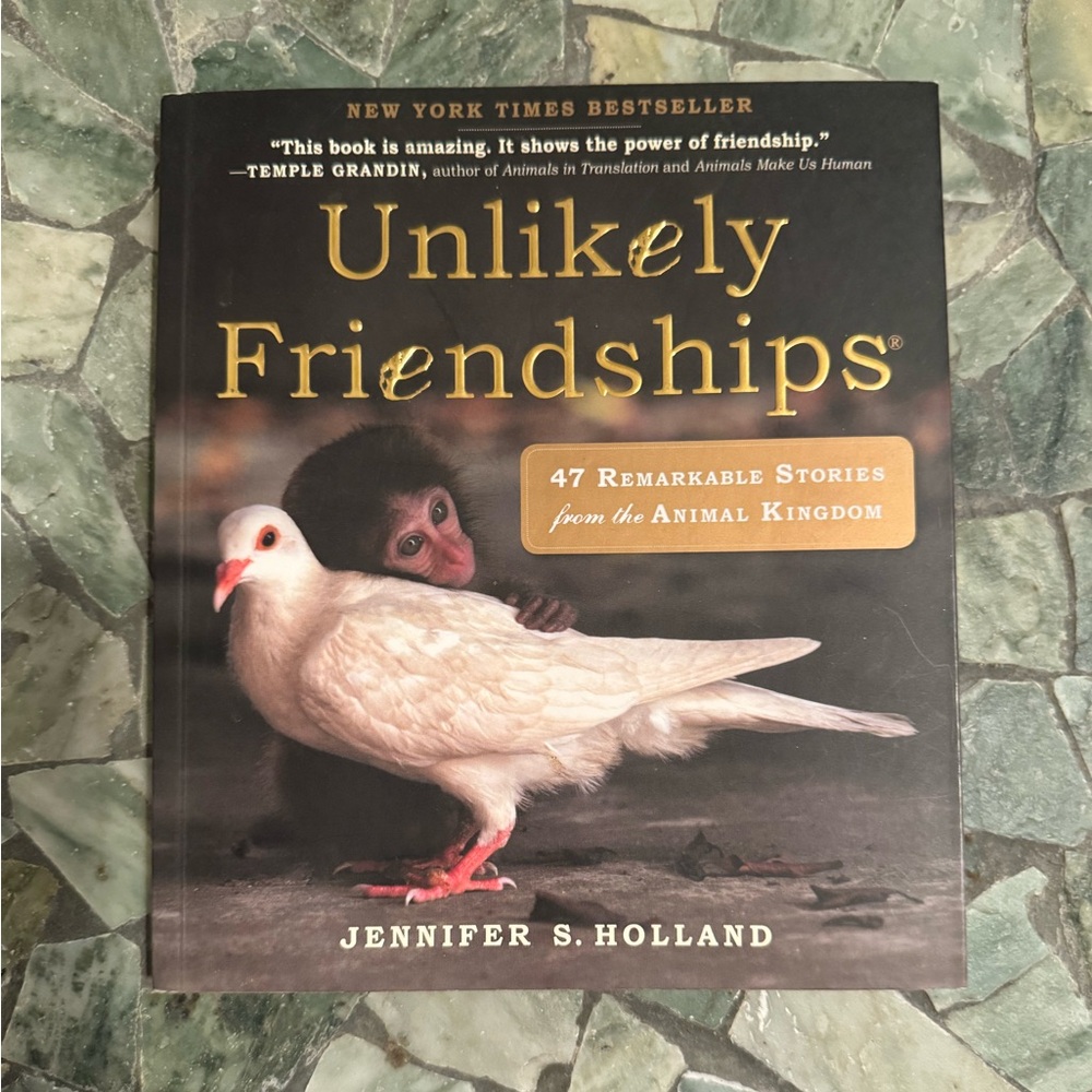 Unlikely friendships book